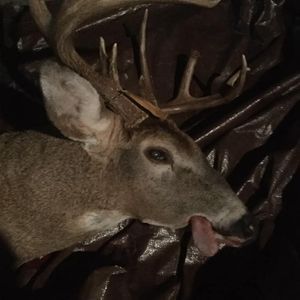 Meet your Posher, Jocelyn